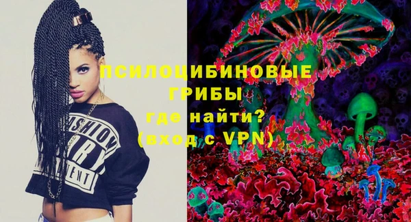 стафф Алзамай