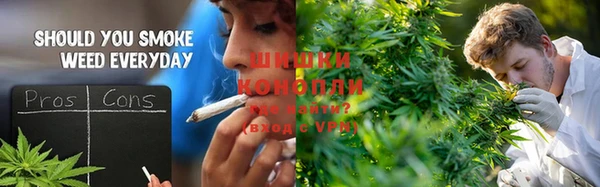 стафф Алзамай