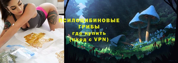 стафф Алзамай